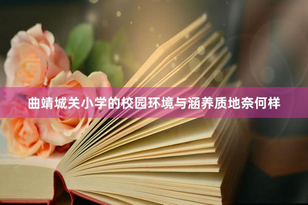 曲靖城关小学的校园环境与涵养质地奈何样